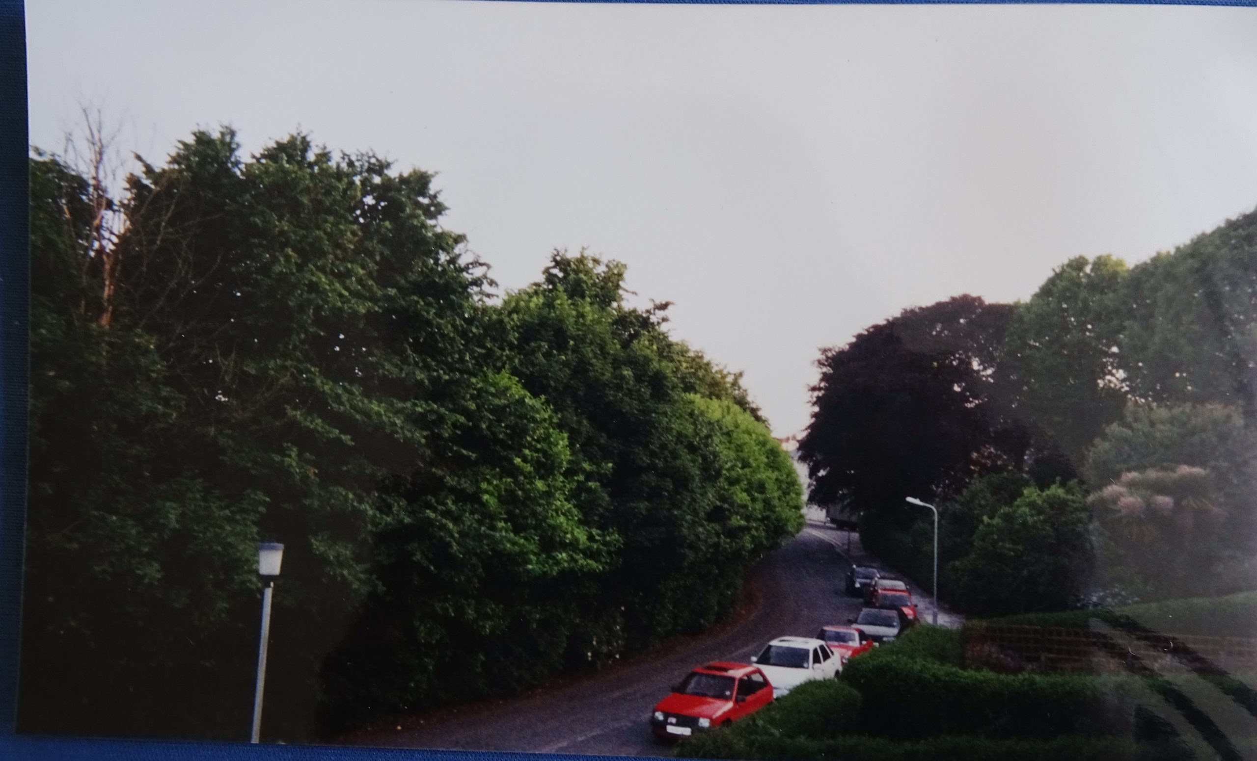 But it’s only the one tree…