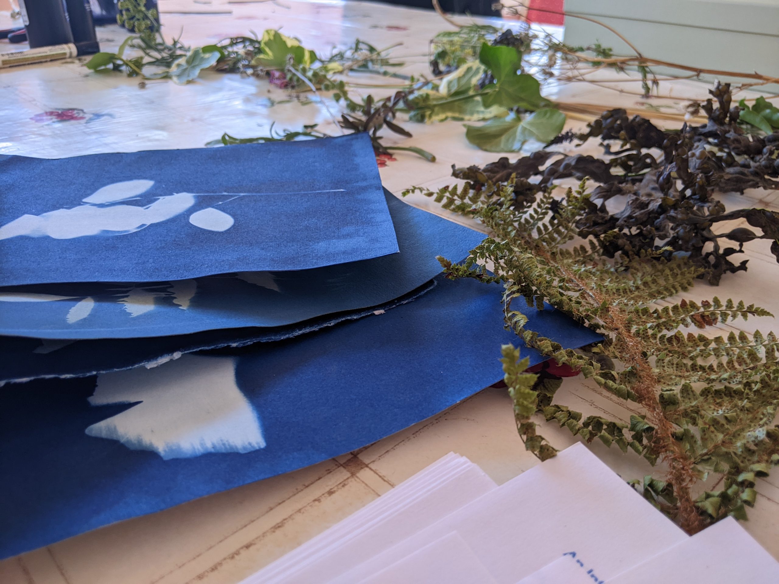 Sun Printing Workshop