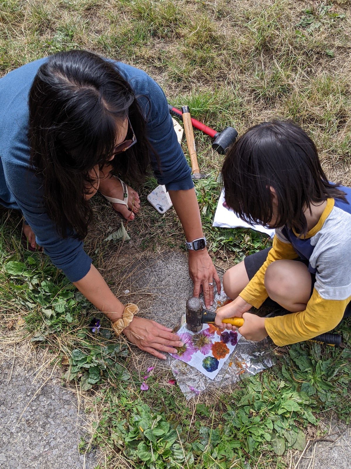 Natural Colour Workshop